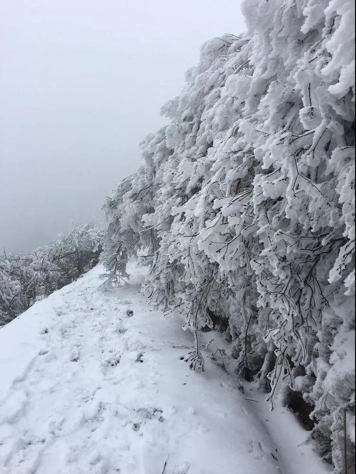 这次，你有错过绿春湖的雪景吗？那种美，简直难以名状……