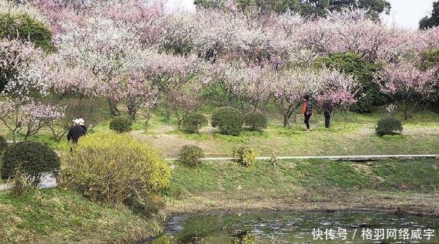 江苏富豪密度第一城每400人就有1人身价达千万，却不是苏州南京