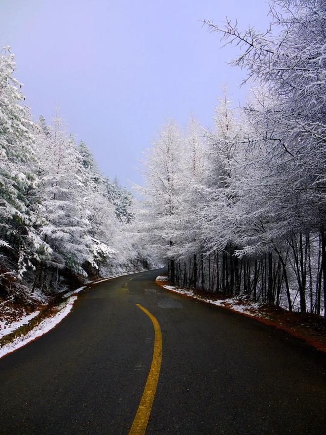 初冬已至,降温来袭 | 陕西这些地方已经下雪啦!想看雪景的走起
