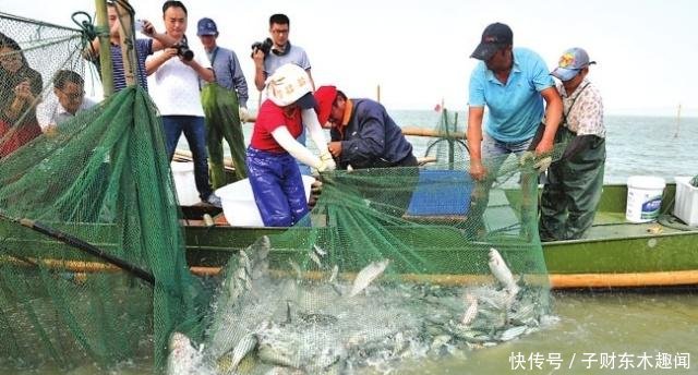 在农村，这“三类”人属于有钱人，几乎村村都有，看看有你吗