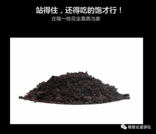  【一无所知】兰花是“骗子”？猪笼草是“坐便器”？或许你对植物的智慧一无所知