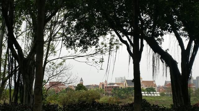  「鱼悦」雾里看花钓鱼忙，东风鱼儿把口开，鱼悦的一天