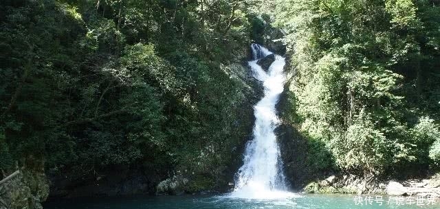 河南省最值得一去的景区，门票免费，包吃包住才50元