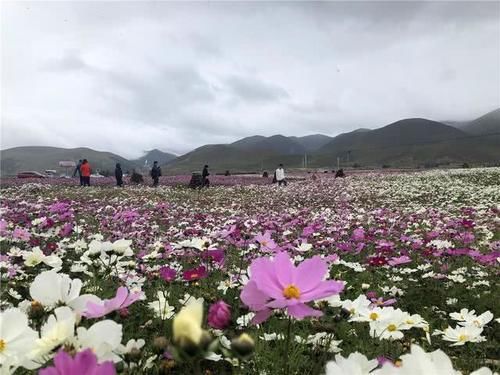 西藏自驾之旅第4天：大雪中前往稻城亚丁，看到4个交通事故