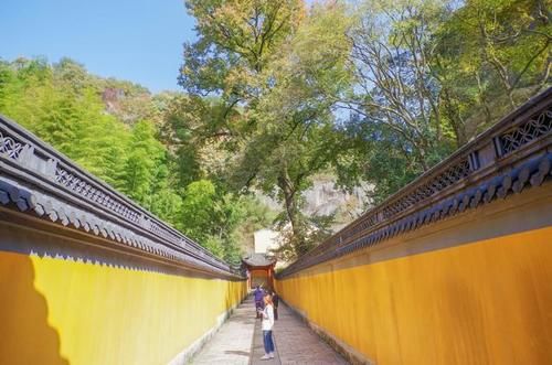 这里遍地都是硅化木化石，还有满坡的恐龙蛋却没有人去挖