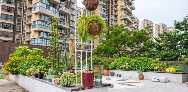  『露台花园』造花园，一定不能少这3种花，每一种都是当之无愧的开花机器！