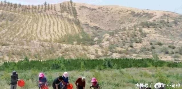 地球上第一个沙漠即将被中国消灭，如果奇迹有国度，一定是在中国