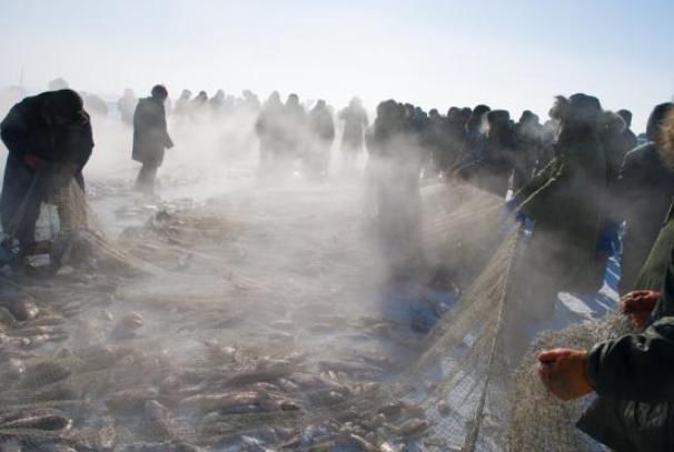 查干湖的鱼为何“越捞越多”？游客哀声怨道，渔民道出真情