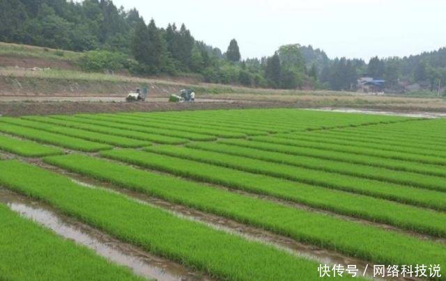 这两个证件没办的抓紧办了，明年可能不能办了，别让子女“吃亏”