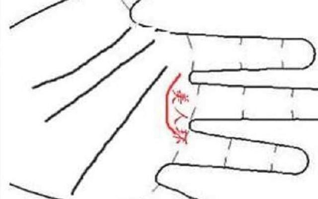 “美人”的3大标准，尤其第3个，很多女生不知道