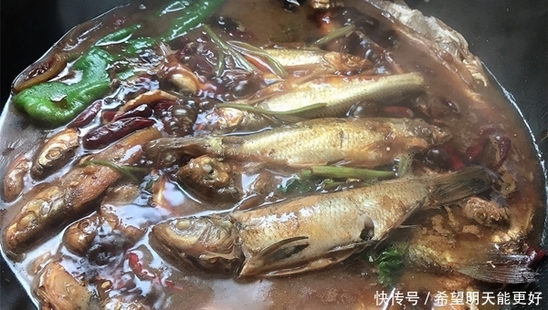  『试试』狂拉小杂鱼，试试这几种钓法鲜为人知的钓法，晚春使用效果最好！