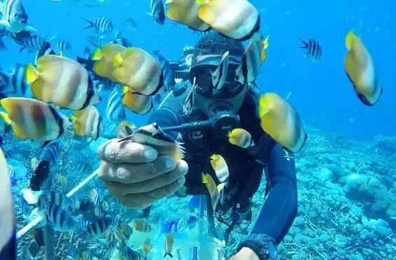 比泰国更值得去的地方，物价超低，国内直飞，最主要是游客安全!