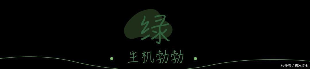  「温温柔柔」2020早春穿什么？当然是淡黄的长裙！