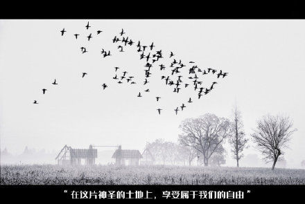  #遗址#世界爱鸟日，看良渚古城遗址公园的精灵们