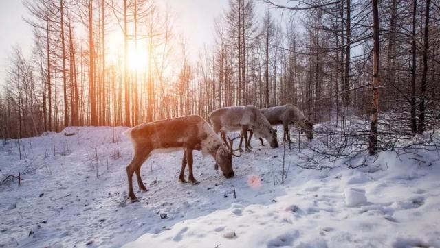 国内这些小众景点也太美了!关键是不用人挤人!景色不输热门景区
