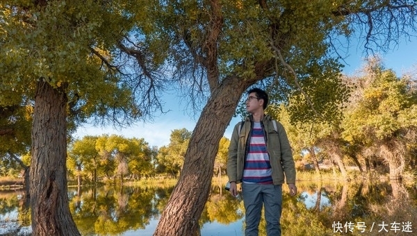 生三千年,死后再挺三千年,这里的树木不得了!