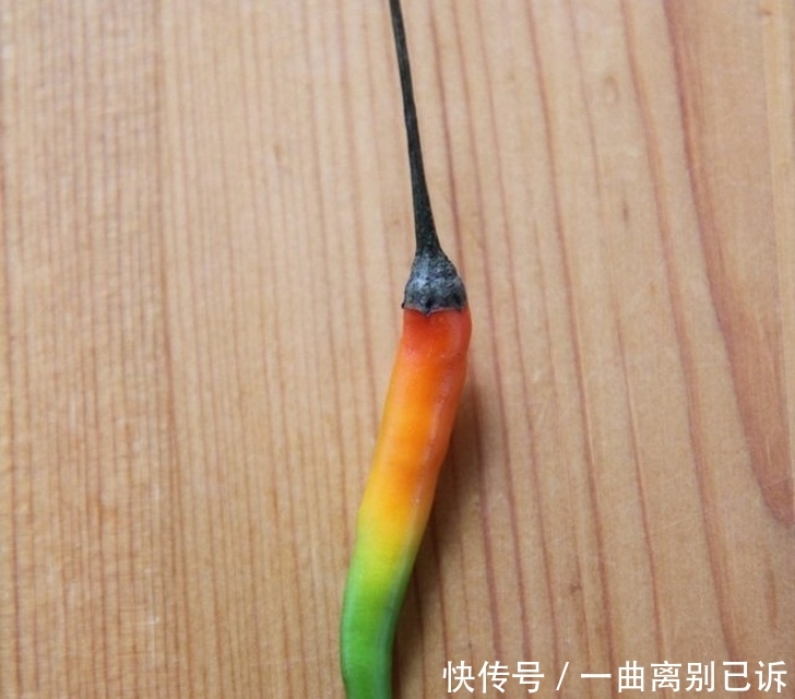 强迫症都挑不出毛病的26张照片 展现了真正的完美