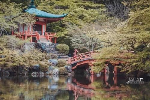 为什么去日本旅游的中国游客里,最多的就是上海人?