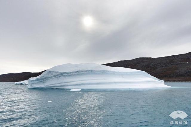中国小伙北极之旅，入住2000多一晚的当地酒店，鲸鱼肉竟放路边卖