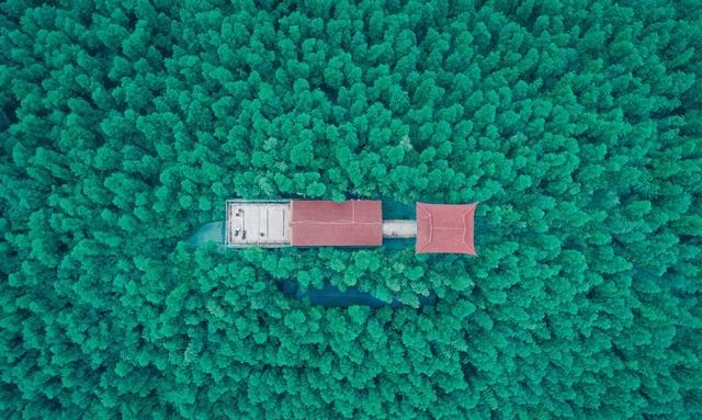 这个浙江最不起眼的县一跃成为中国百强，本地人为啥却无动于衷？