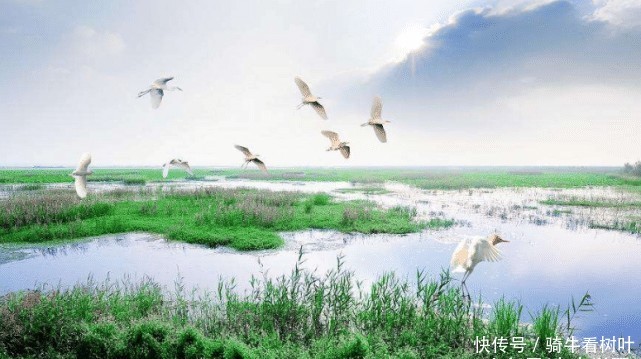 中国“最委屈”的湖泊,属于中国第四大淡水湖,知名度却低得可怜