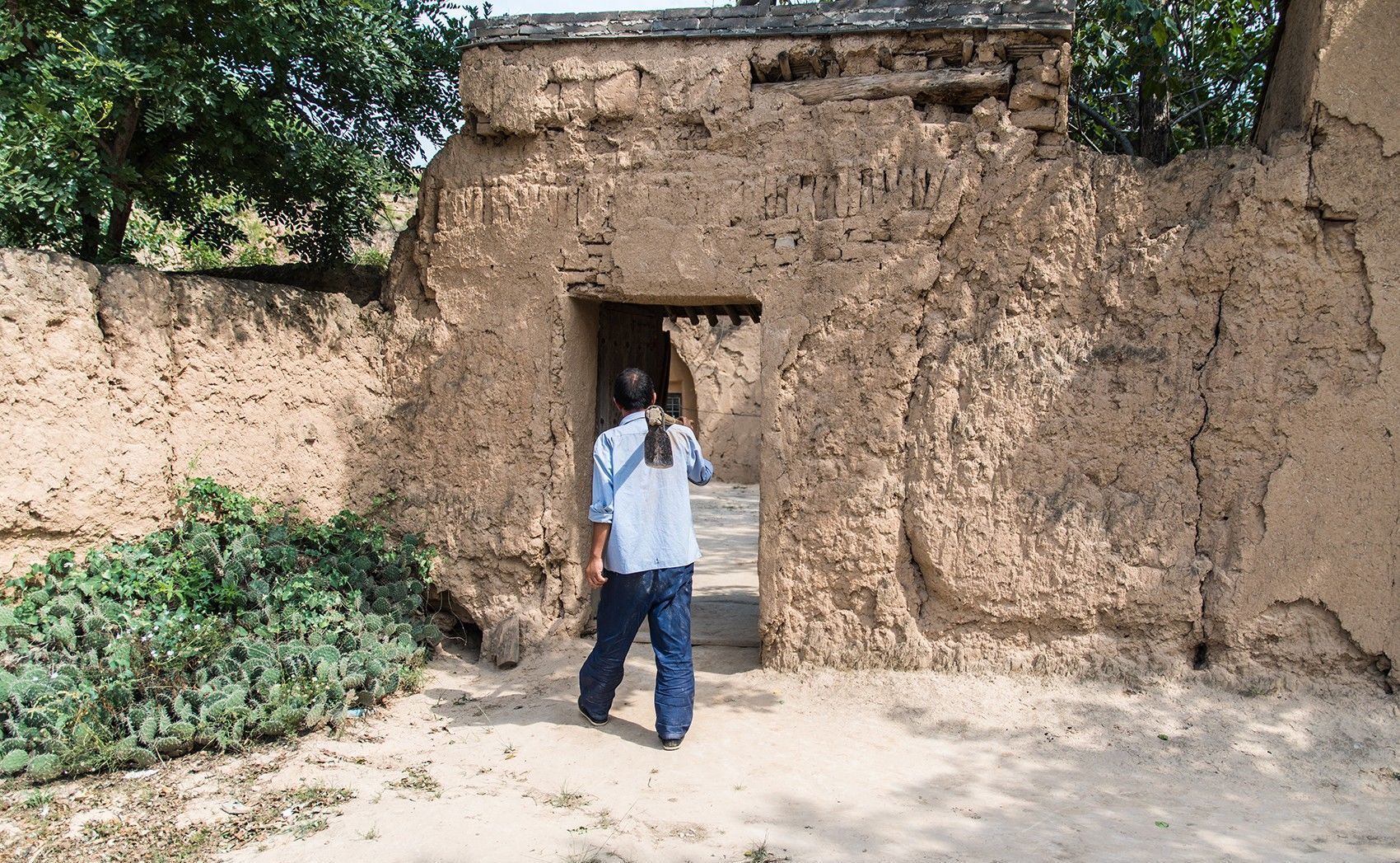 84岁母亲陪伴单身儿子在山里种60亩地，看看他们的生活吧