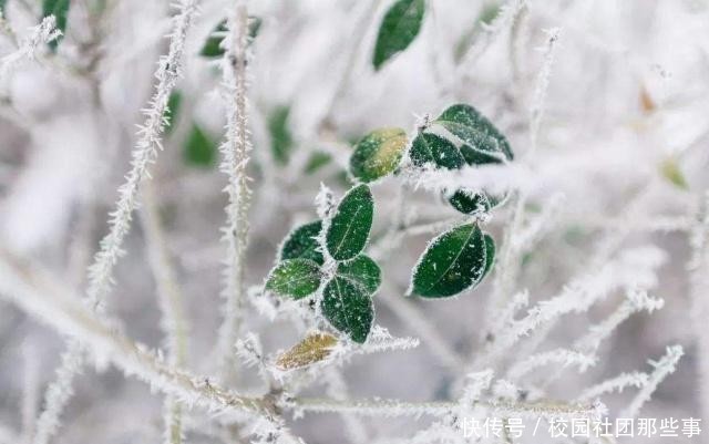  经验之谈：22日冬至，农村俗语“一年雨水看冬至”，啥意思？老