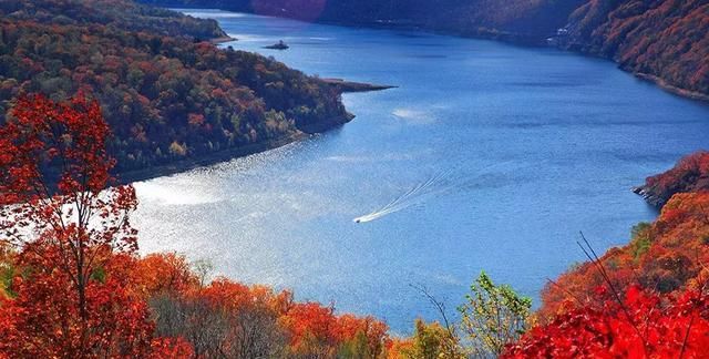 又一个红叶王国!国内这处秘境,有比肩枫叶之国加拿大的醉美秋色