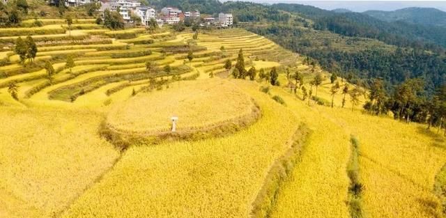 如何摄影如何摄影