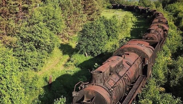 10个被遗弃的人类文明，在大自然的吞噬下变成了这样