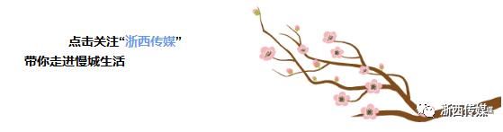 后果很严重！常山一网民微信群散布谣言受处罚