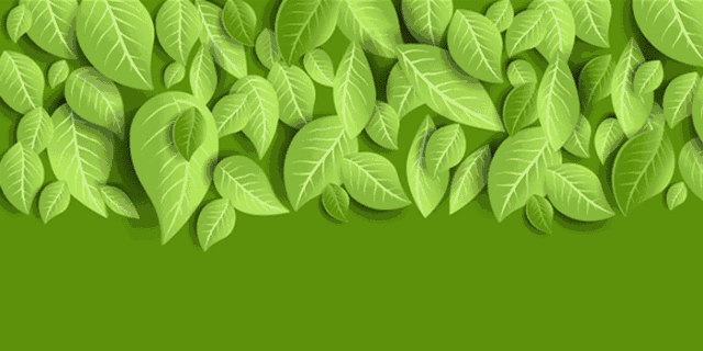 云南省佛教协会发布声明:追究造谣者!