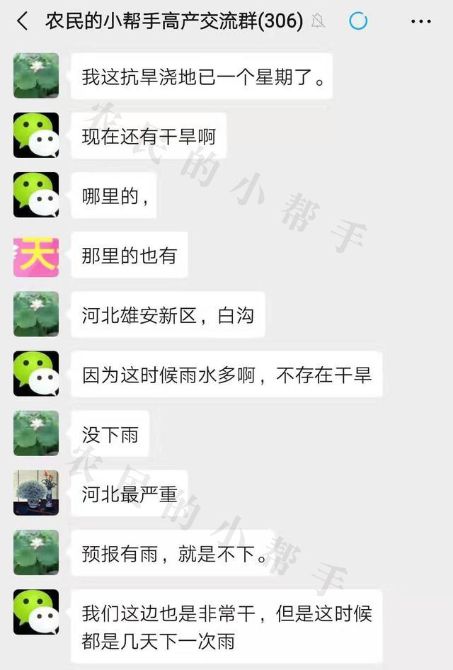  「玉米」玉米10-15天后即将收获，有不少农户还在浇水，这是为什