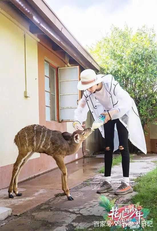 迪丽热巴你真的过分了，穿着PVC鞋子就要出门？舒淇的衣服更夸张