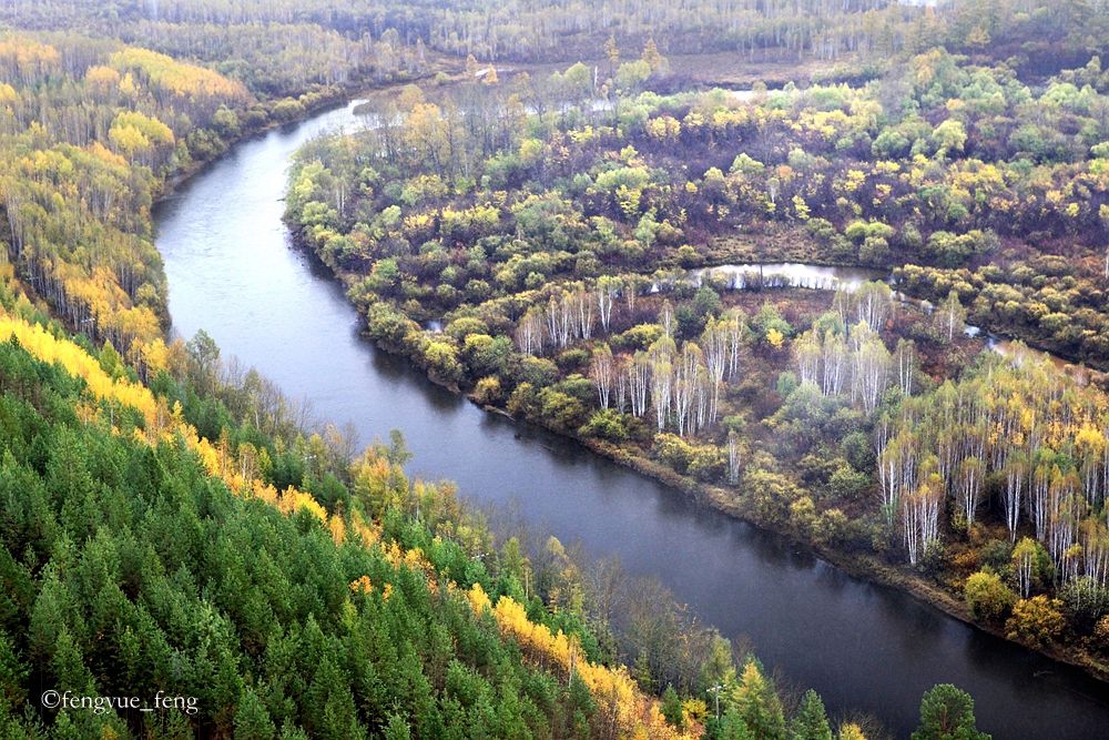 大兴安岭特大火灾澳洲火灾