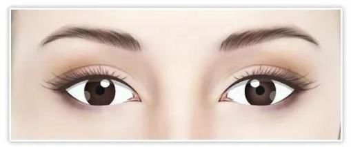 #小编建议#单眼皮与双眼皮的江湖,为什么双眼皮总能获得青睐?