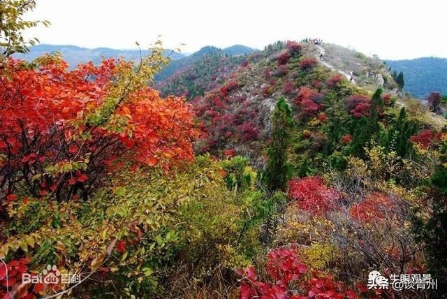 山东青州市主要旅游景点