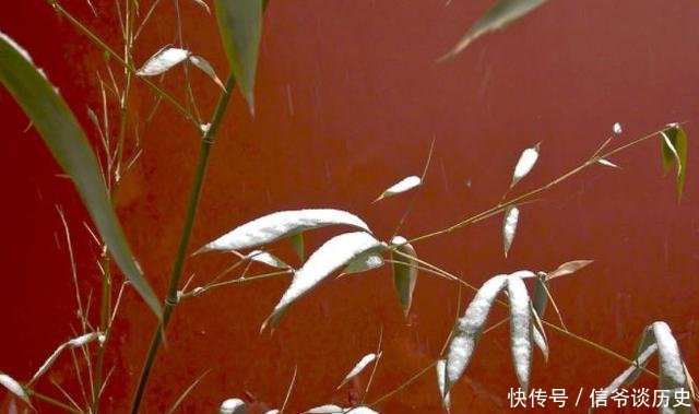  「冬日」雪竹，就是最美的冬日诗词