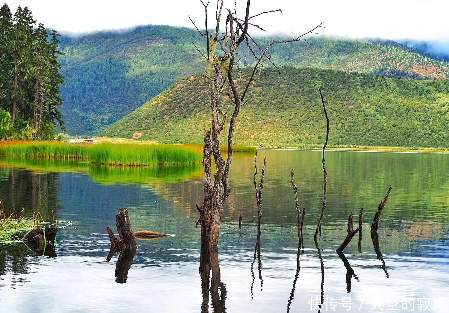  【绚烂】人间胜境香格里拉，藏着一座如水彩画般绚烂的宝藏公园，美如诗画