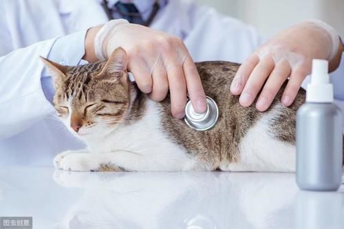  创业|农村人创业不难，5个低成本小生意，看你如何把握