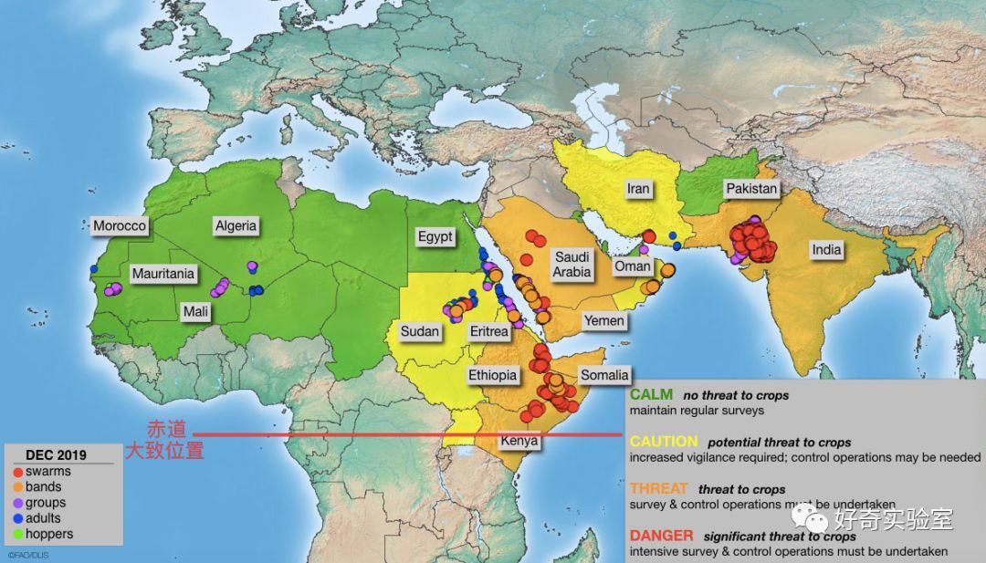  逼近@千亿蝗虫逼近中国边境，但你的辣椒和孜然可能白准备了