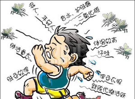  夏日@夏日如何防蚊虫，教你几招就明白了