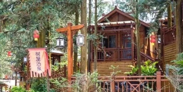 无长假不可怕!周末出发,前往广东的秘密花海!错过再等一年