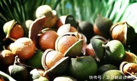  需求量@亩产400斤，一斤卖10元，市场需求量高，为何没多少农民
