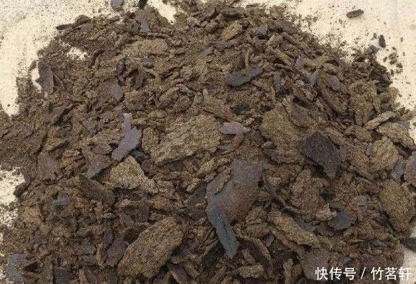  油菜籽■农村不稀罕的“它”，渔具店里卖5元一斤，钓鱼打窝特别好用