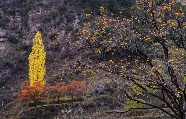 河南这座山村曾住着李世民的红颜知己 每到秋天风景如画