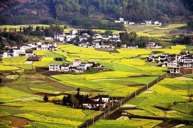 三月,去看中国最美春光