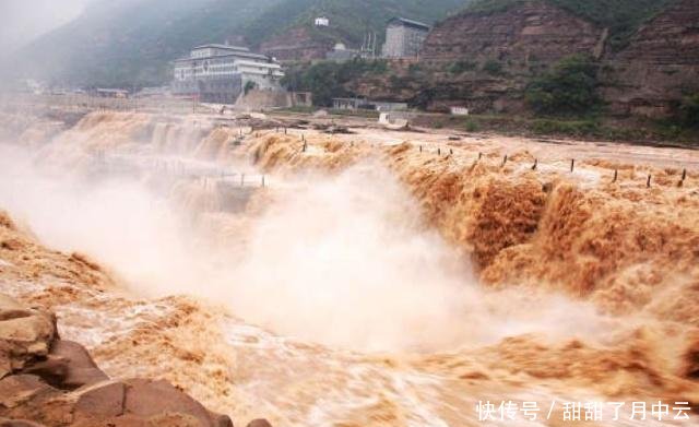 为什么黄河水这么浑浊，里面却生存着大量鲤鱼看完你就明白了