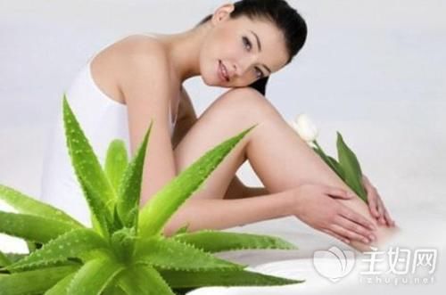 『光滑』用芦荟美容皮肤时要知道的五件事
