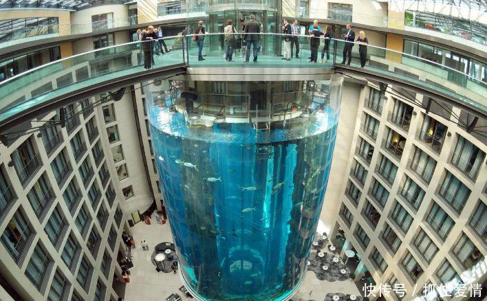 世界上最大的鱼缸:耗资1亿、有8层楼高,竟被放在酒店中!